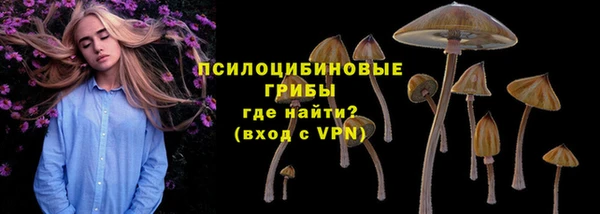 амф Калининец