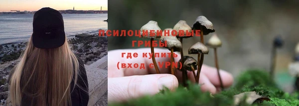 твердый Краснотурьинск