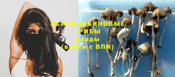 синтетический гашиш Краснослободск