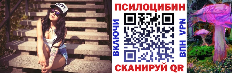 хочу   Таганрог  Галлюциногенные грибы Psilocybine cubensis 