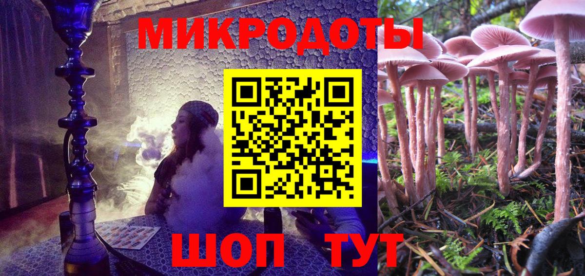 Псилоцибиновые грибы Psilocybe Таганрог