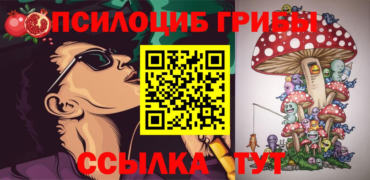 Псилоцибиновые грибы Psilocybine cubensis  Таганрог  Галлюциногенные грибы Cubensis 